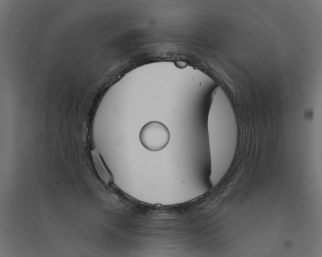 X0000094330597200711241831