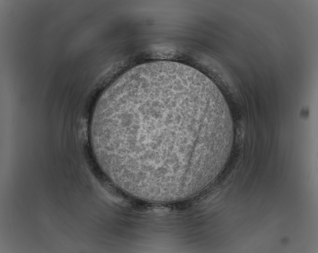 X0000094330598200711241831