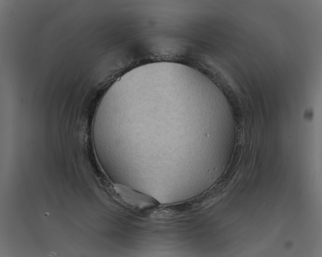 X0000094330599200711241831