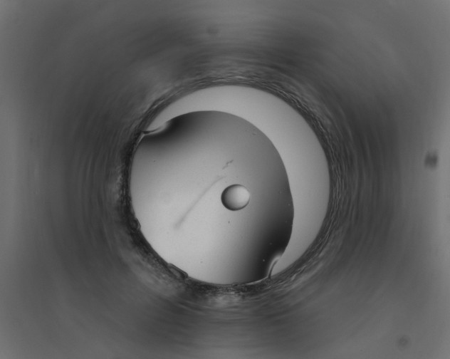 X0000094330600200711241831