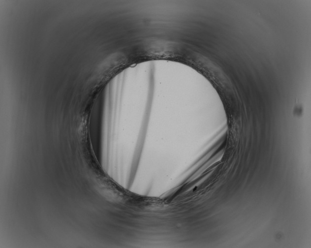 X0000094330601200711241831