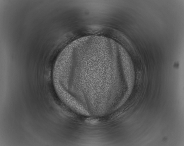 X0000094330602200711241831