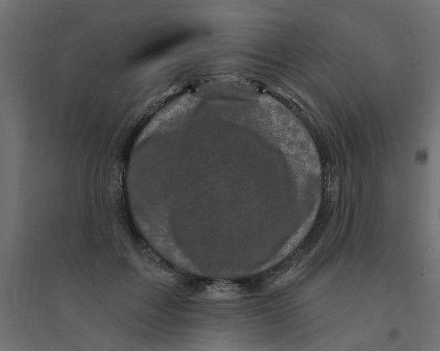 X0000094330603200711241831