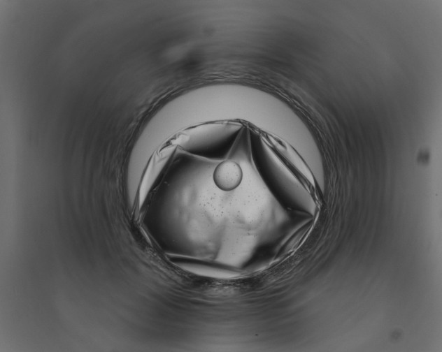 X0000094330604200711241831