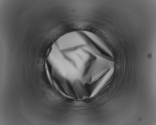 X0000094330605200711241831