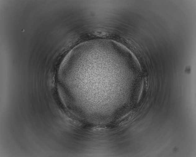 X0000094330606200711241831