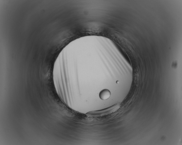 X0000094330608200711241831