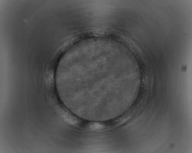 X0000094330610200711241831