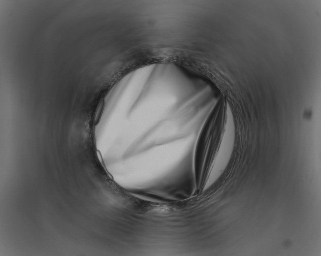 X0000094330611200711241831