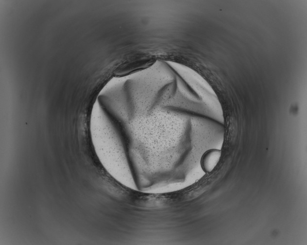 X0000094330612200711241831