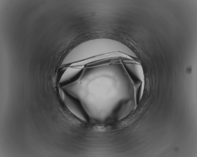 X0000094330613200711241831