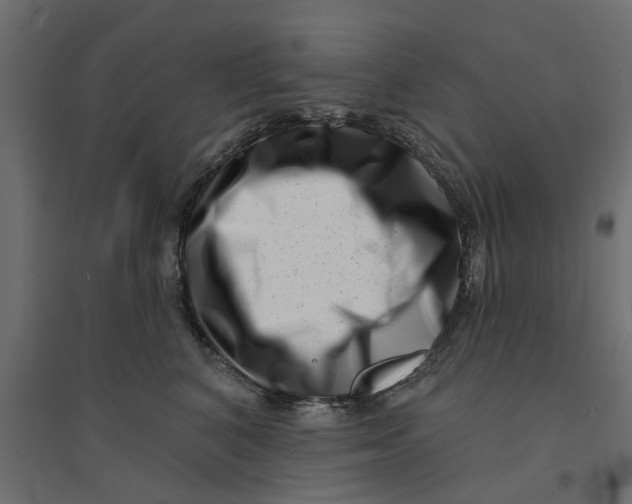 X0000094330616200711241831