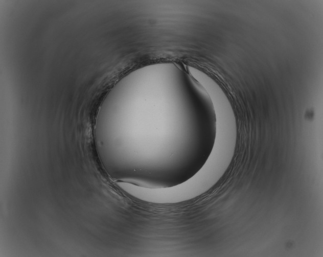 X0000094330617200711241831