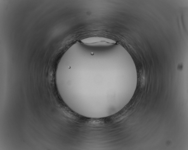 X0000094330619200711241831