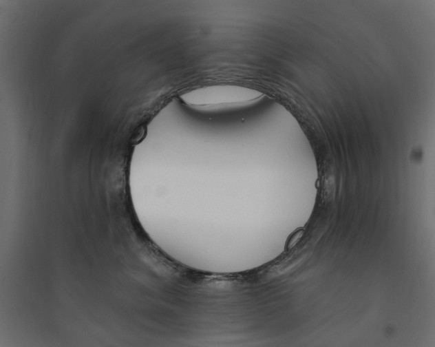 X0000094330620200711241831