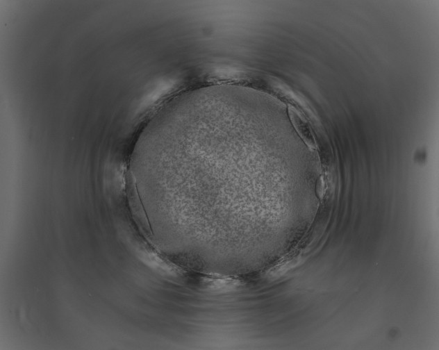 X0000094330621200711241831