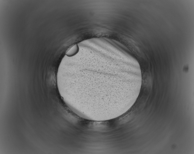 X0000094330622200711241831