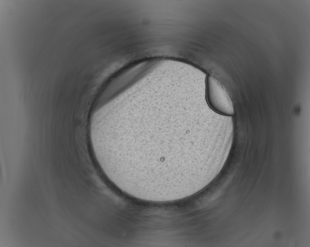 X0000094330625200711241830