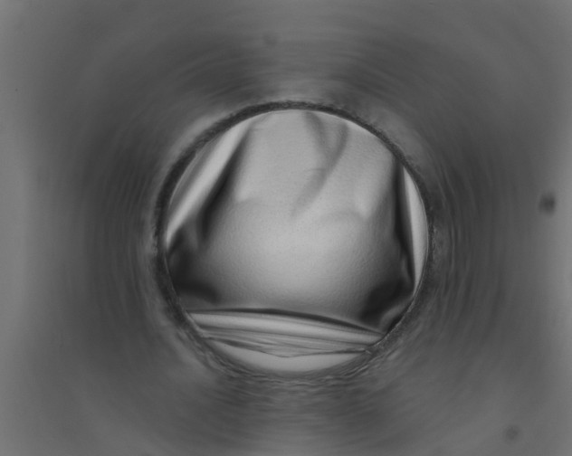 X0000094330628200711241830