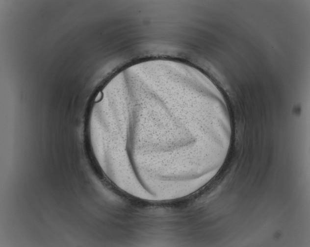 X0000094330629200711241830