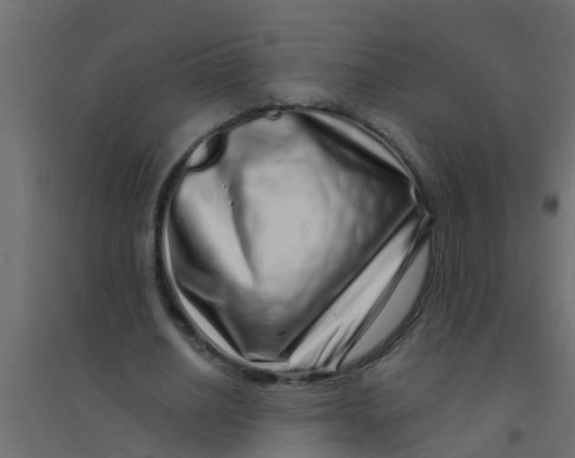 X0000094330630200711241830