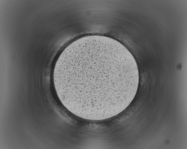 X0000094330632200711241830