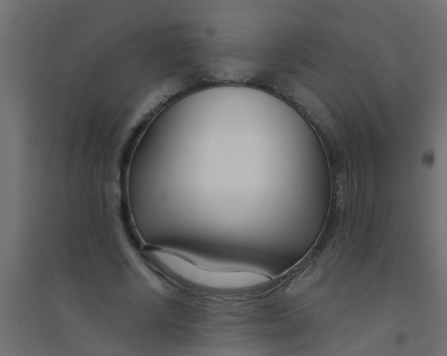 X0000094330634200711241830