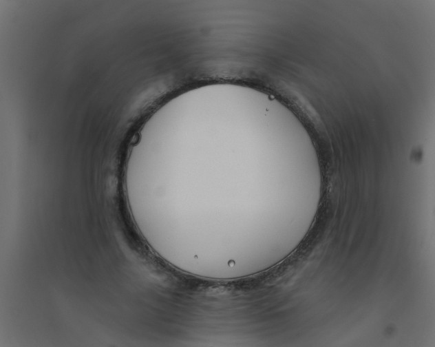 X0000094330635200711241830