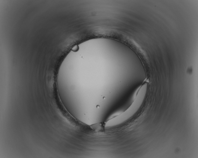 X0000094330637200711241830