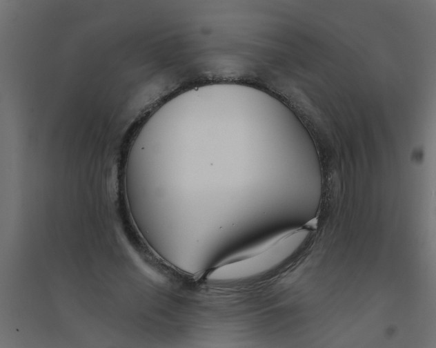 X0000094330638200711241830