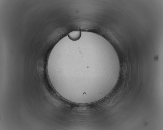 X0000094330639200711241830