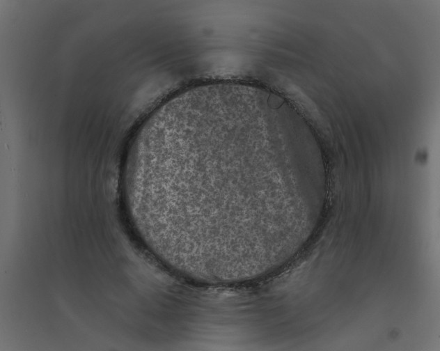 X0000094330640200711241830