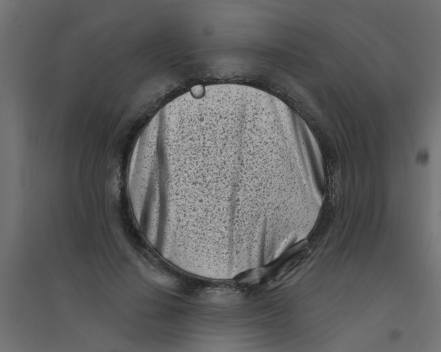 X0000094330644200711241830