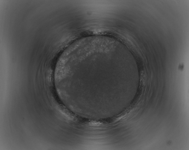 X0000094330650200711241830