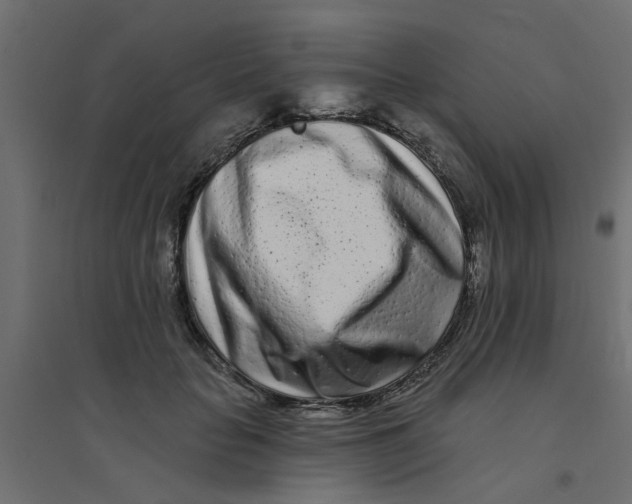 X0000094330653200711241830