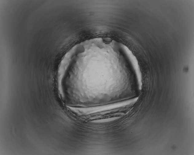 X0000094330654200711241830