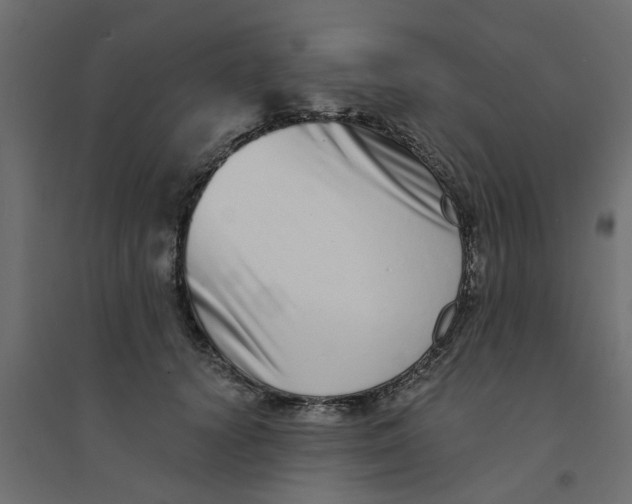 X0000094330656200711241830