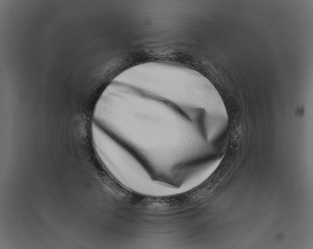 X0000094330658200711241830