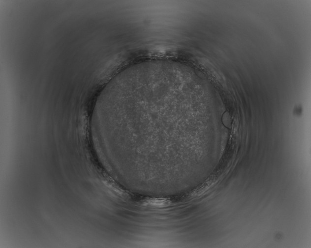 X0000094330659200711241830