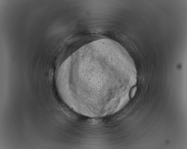 X0000094330660200711241830