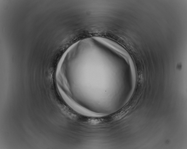 X0000094330662200711241830