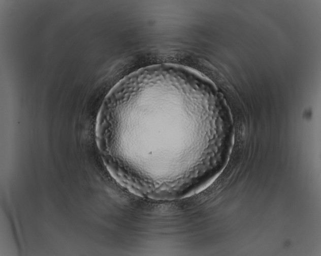 X0000094330663200711241830