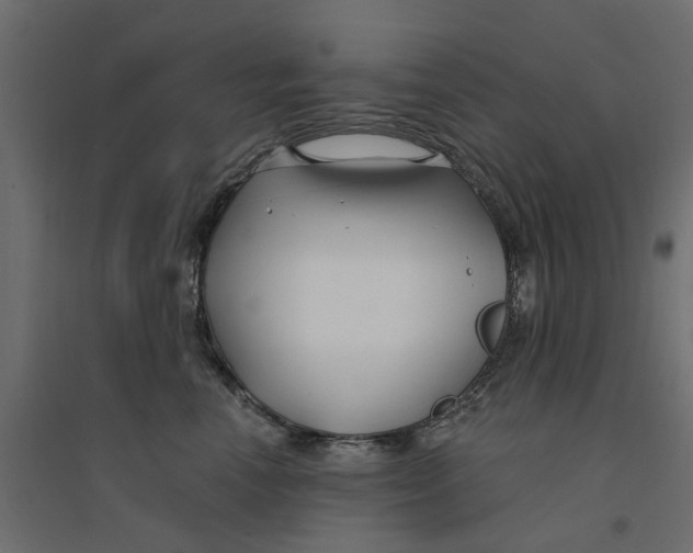 X0000094330666200711241830