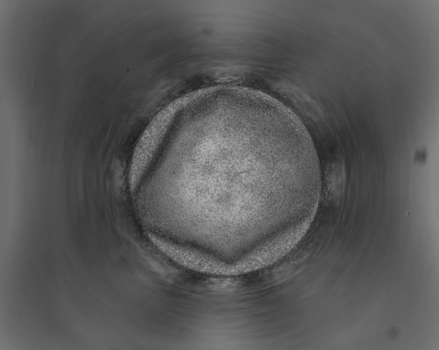 X0000094330667200711241830