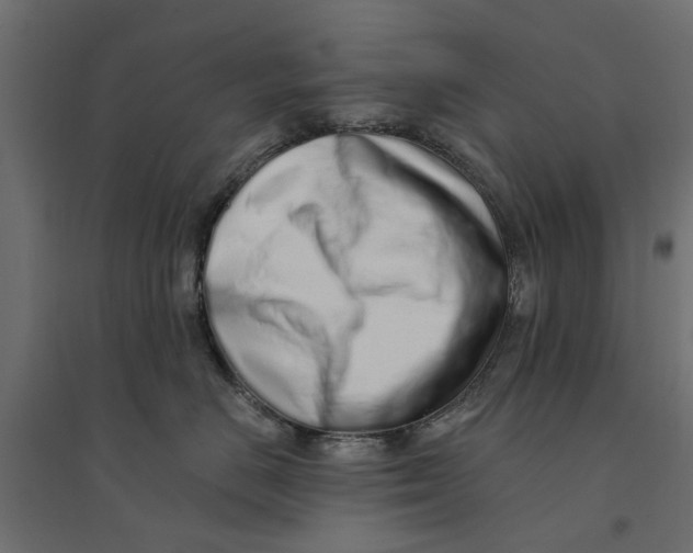 X0000094330670200711241830