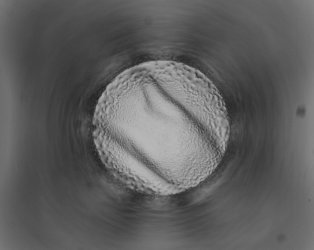 X0000094330671200711241831