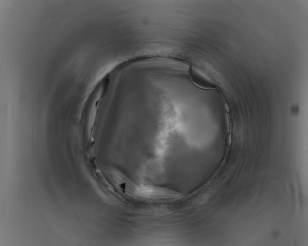 X0000094330674200711241830