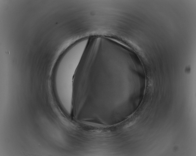 X0000094330678200711241830