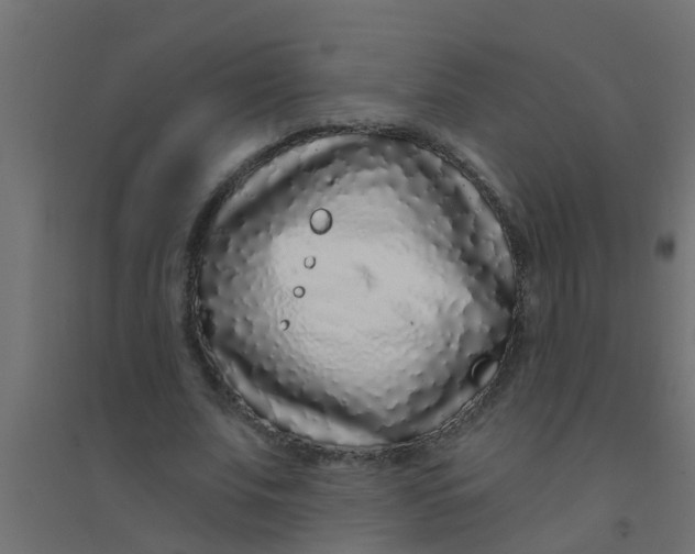 X0000094330679200711241830