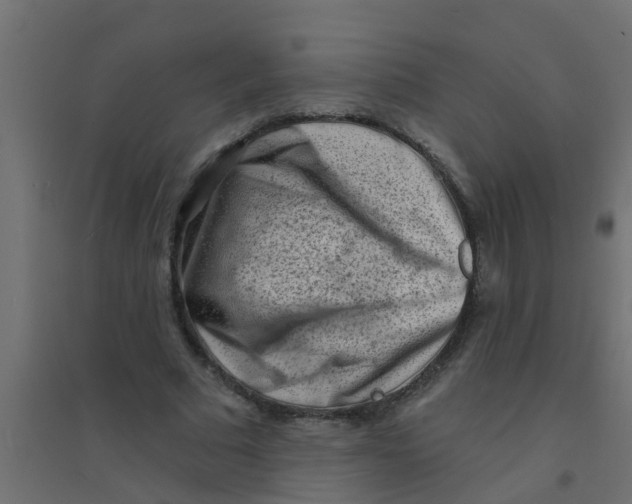 X0000094330681200711241830